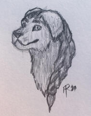 Bust